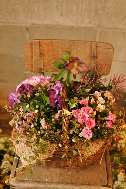 f:id:yuiyubi:20180301095005j:image f:id:yuiyubi:20180301095005j:image