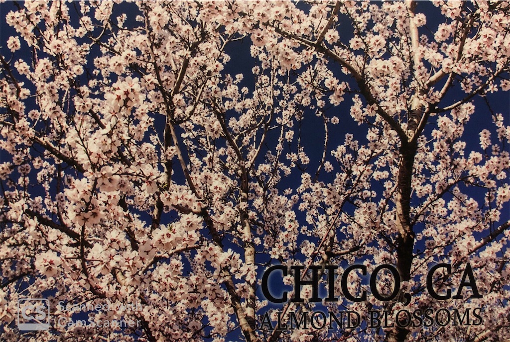 f:id:yuji6733:20200224100013j:image f:id:yuji6733:20200224100013j:image