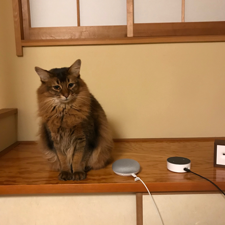 f:id:yujihsmt:20180729193100p:plain f:id:yujihsmt:20180729193100p:plain