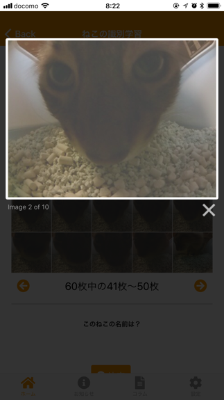 f:id:yujihsmt:20181127134041p:plain f:id:yujihsmt:20181127134041p:plain
