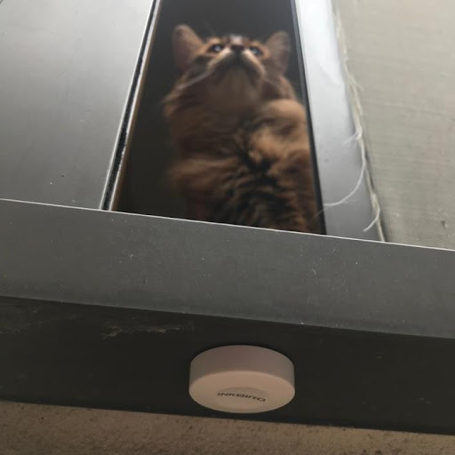 f:id:yujihsmt:20191104205834j:plain f:id:yujihsmt:20191104205834j:plain