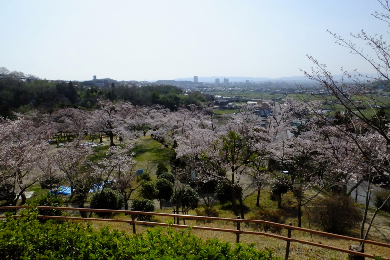 f:id:yujiro-1:20130330091249j:image:w640