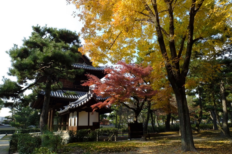 f:id:yujiro-1:20131202134221j:image:w640