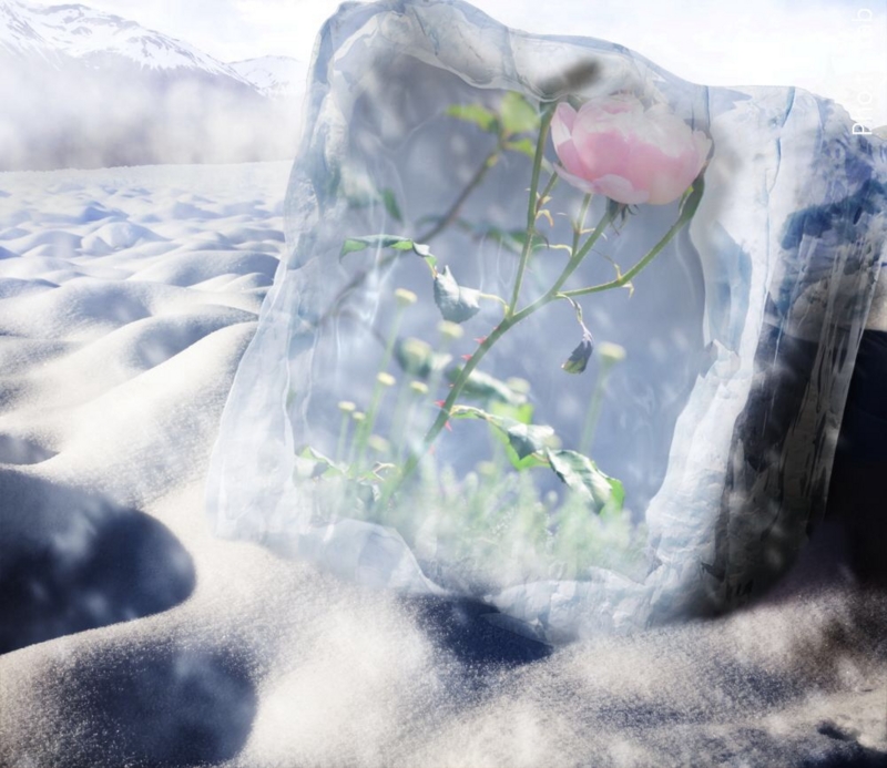 f:id:yujiro-1:20131228055822j:image:w640