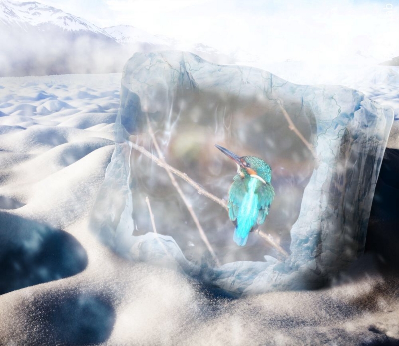 f:id:yujiro-1:20131228055902j:image:w640