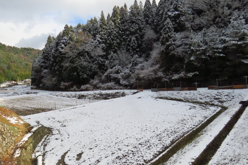 f:id:yujiro-1:20180104060731j:image:w640