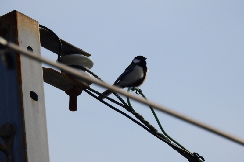 f:id:yujiro-1:20180406055056j:image:w640