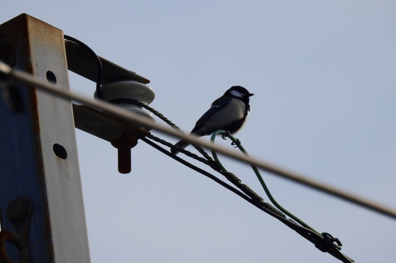 f:id:yujiro-1:20180406055150j:image:w640