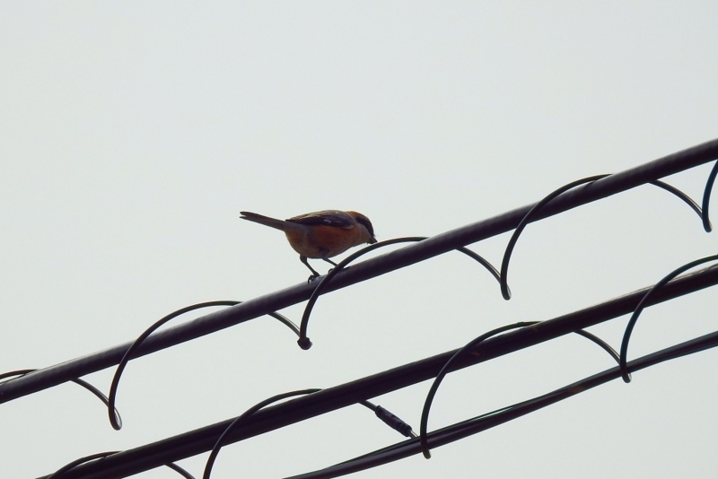 f:id:yujiro-1:20180406055358j:image:w640