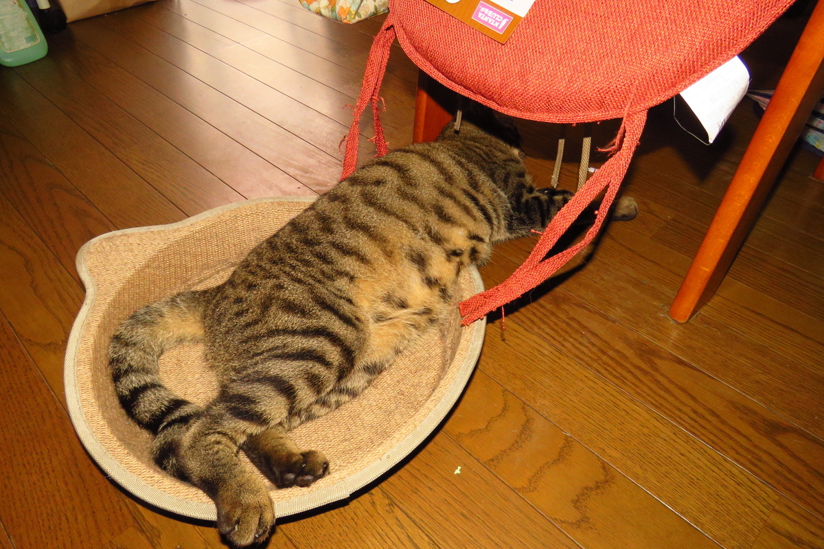 f:id:yujiro-1:20190901052555j:plain