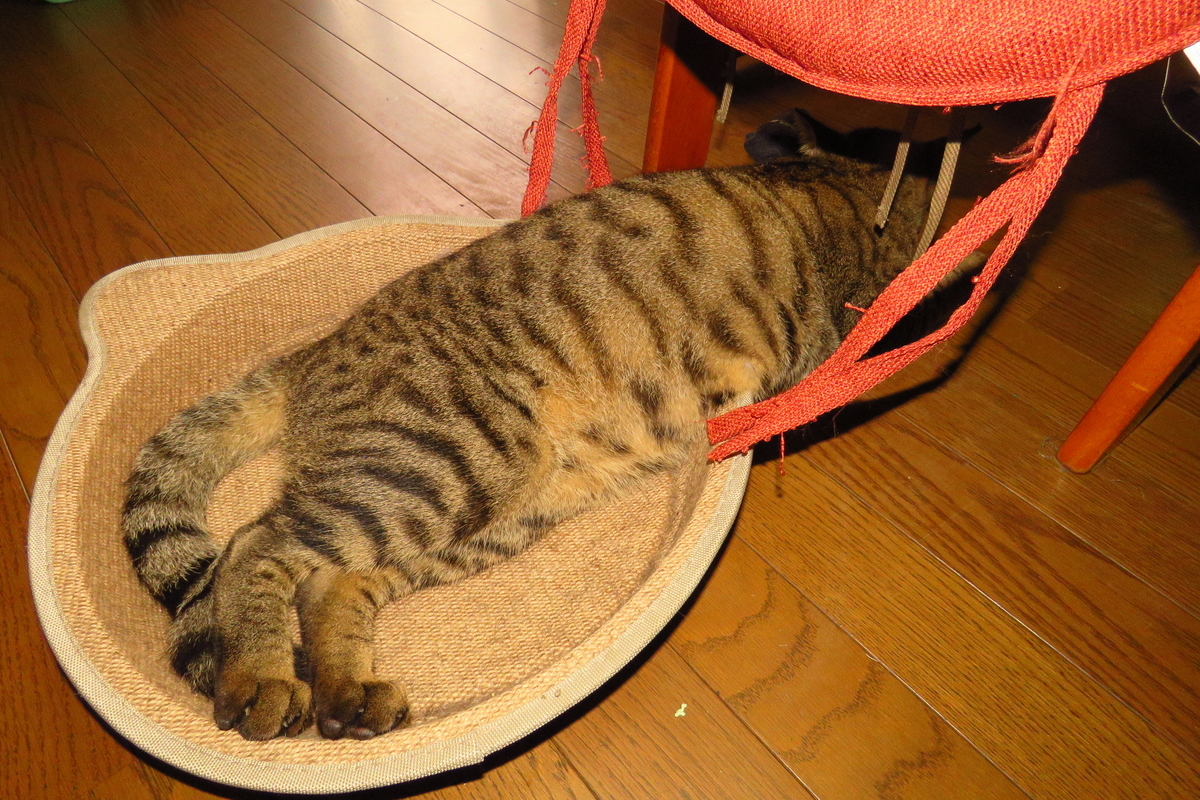 f:id:yujiro-1:20190901052712j:plain