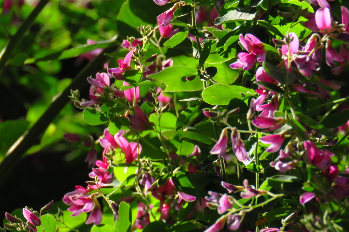 f:id:yujiro-1:20190920050829j:plain