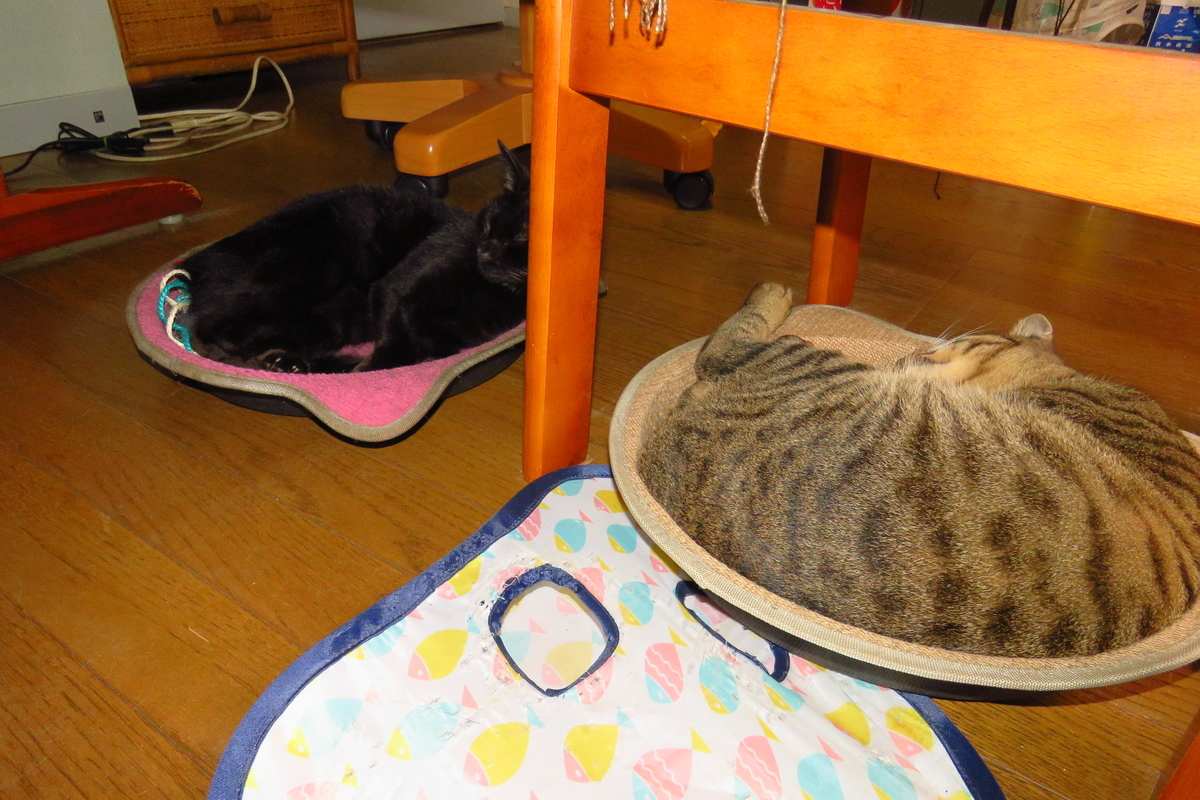 f:id:yujiro-1:20190923052518j:plain