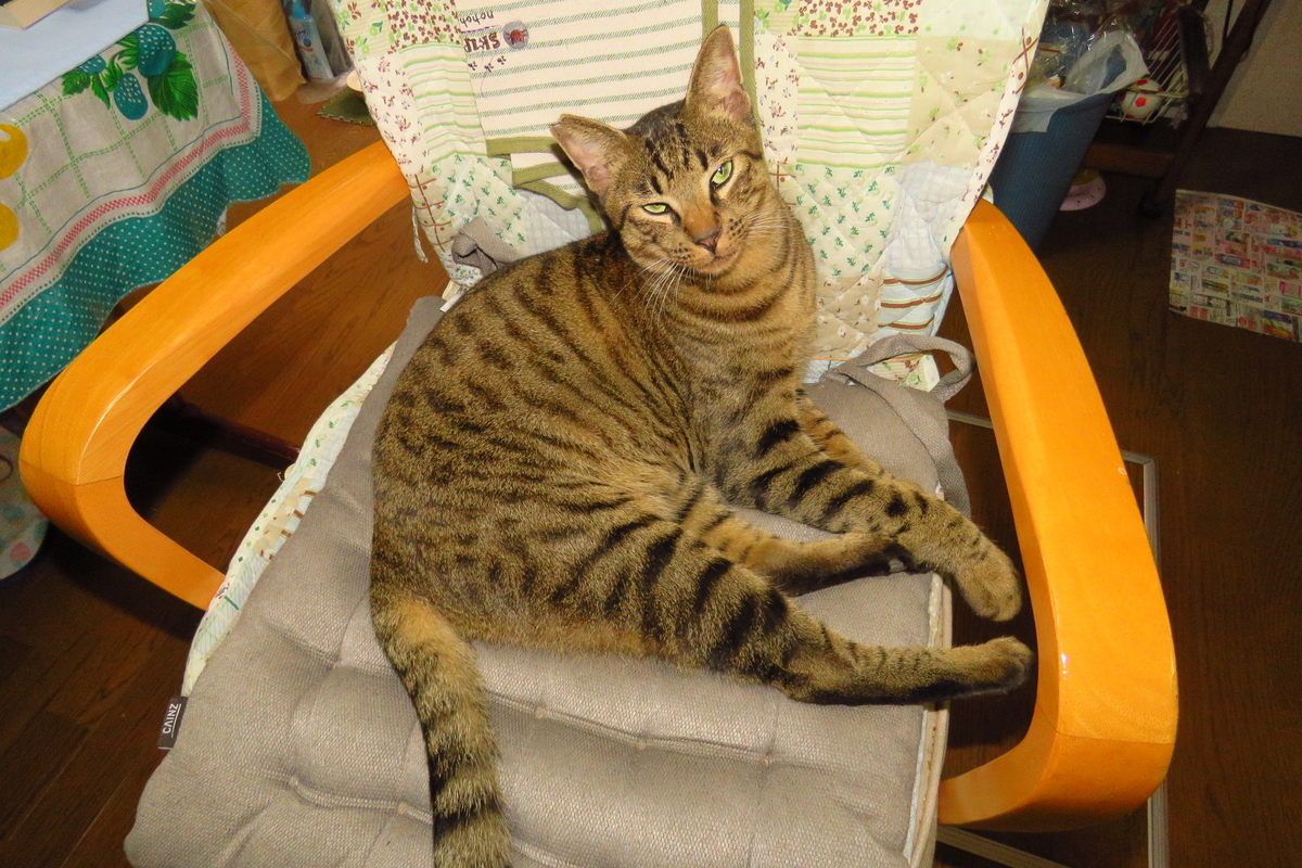 f:id:yujiro-1:20190923053149j:plain