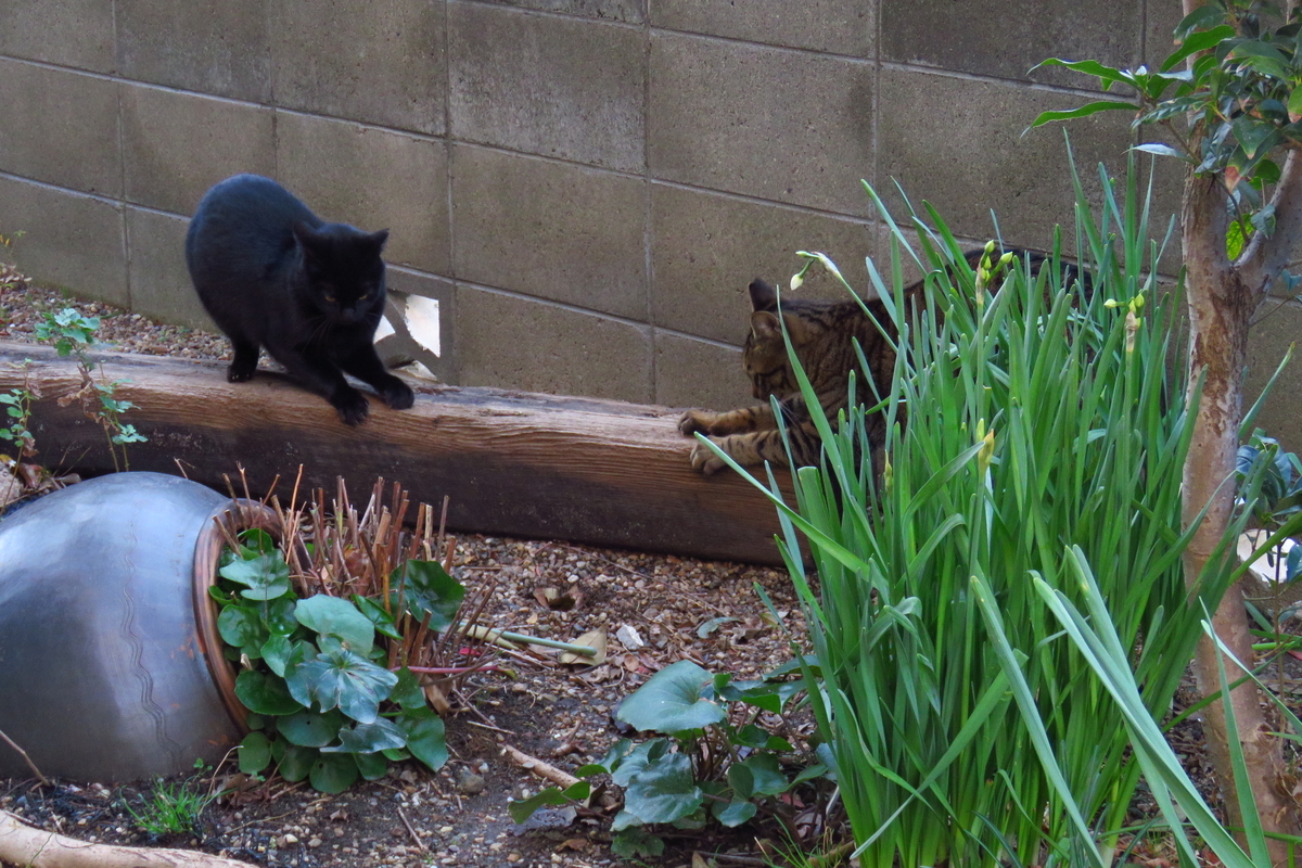 f:id:yujiro-1:20200107055212j:plain