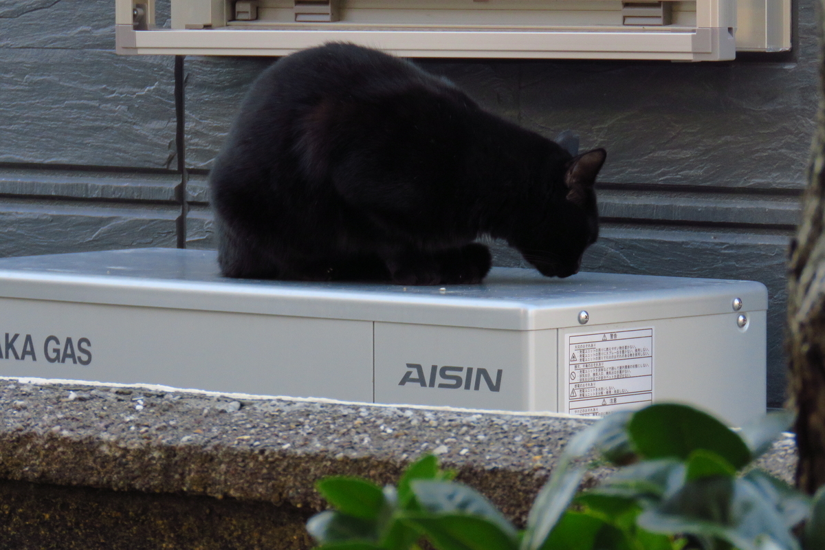 f:id:yujiro-1:20200107060439j:plain