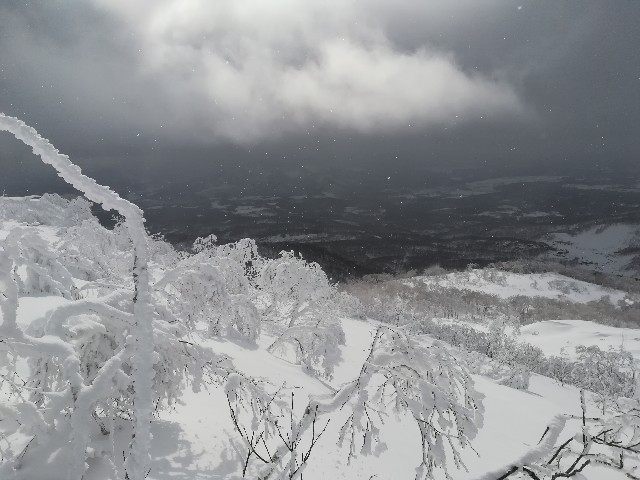 f:id:yujirokondo:20200422003153j:image f:id:yujirokondo:20200422003153j:image