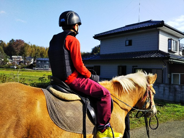 f:id:yujisyuji:20190120124024j:image f:id:yujisyuji:20190120124024j:image