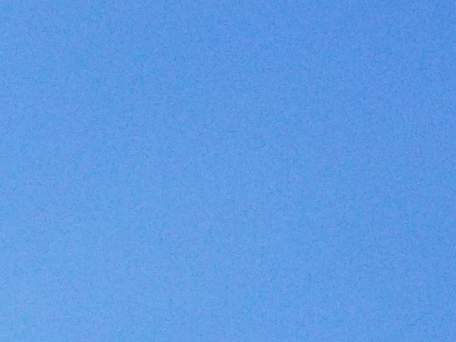 f:id:yujisyuji:20190221222821j:image f:id:yujisyuji:20190221222821j:image