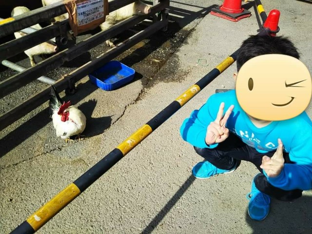 f:id:yujisyuji:20190224160819j:image f:id:yujisyuji:20190224160819j:image