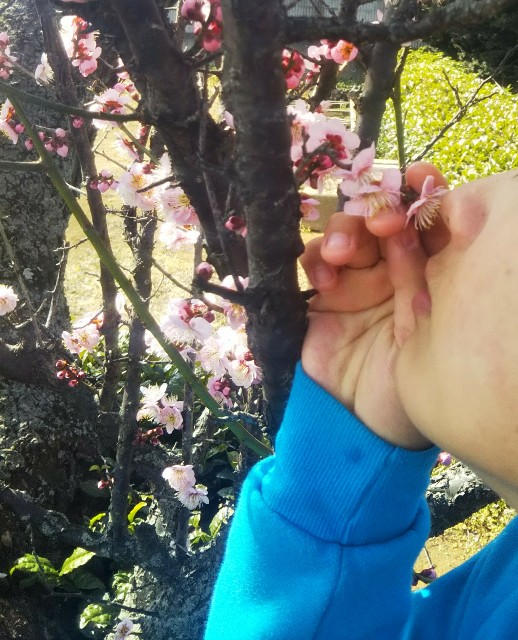 f:id:yujisyuji:20190224222836j:image f:id:yujisyuji:20190224222836j:image