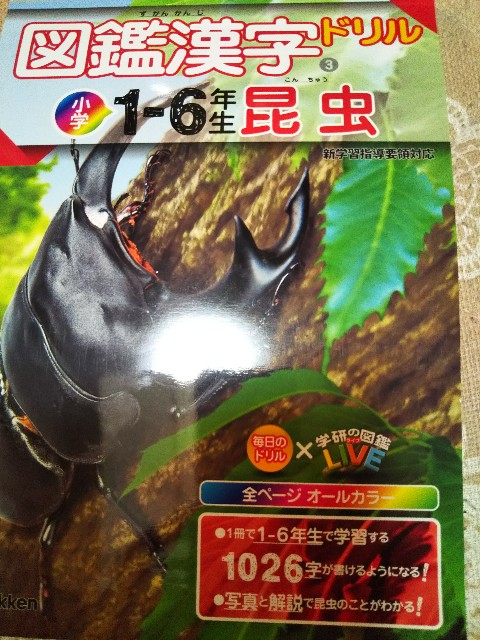 f:id:yujisyuji:20190225211307j:image f:id:yujisyuji:20190225211307j:image