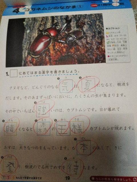 f:id:yujisyuji:20190225215217j:image f:id:yujisyuji:20190225215217j:image