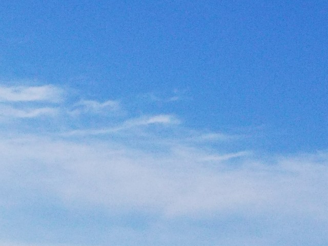 f:id:yujisyuji:20190310192136j:image