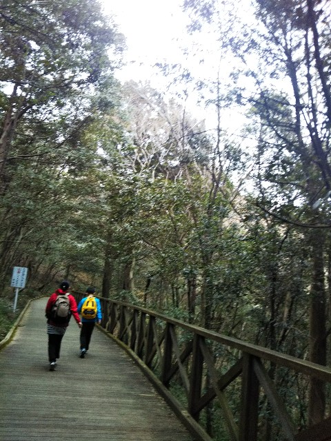 f:id:yujisyuji:20190310204937j:image