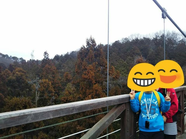 f:id:yujisyuji:20190310205458j:image