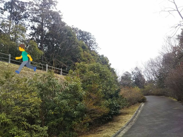 f:id:yujisyuji:20190311073206j:image
