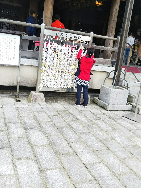 f:id:yujisyuji:20190311084927j:image