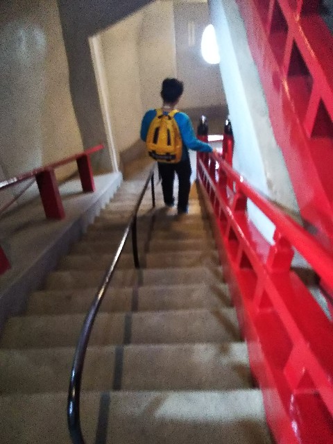 f:id:yujisyuji:20190311092503j:image