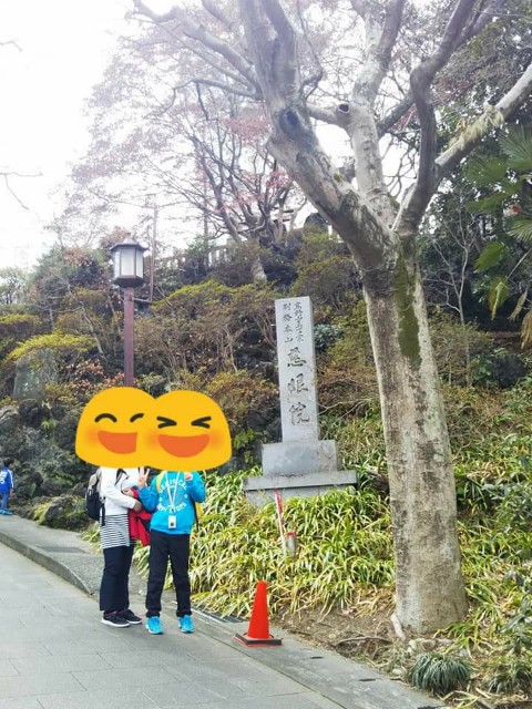 f:id:yujisyuji:20190311092549j:image
