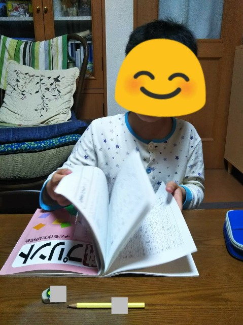 f:id:yujisyuji:20190311095430j:image