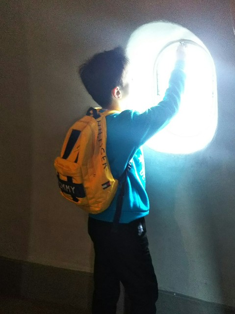 f:id:yujisyuji:20190311121525j:image