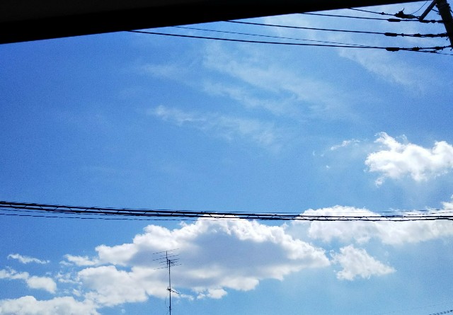 f:id:yujisyuji:20190314121245j:image f:id:yujisyuji:20190314121245j:image
