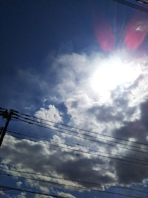 f:id:yujisyuji:20190314125908j:image f:id:yujisyuji:20190314125908j:image