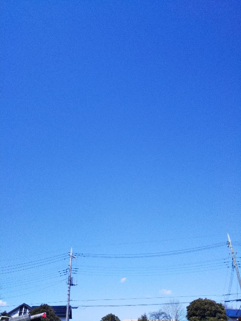 f:id:yujisyuji:20190314130212j:image f:id:yujisyuji:20190314130212j:image