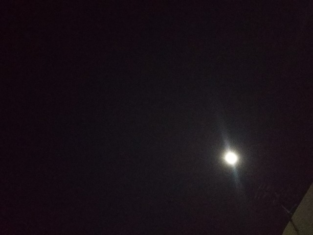 f:id:yujisyuji:20190318204752j:image f:id:yujisyuji:20190318204752j:image