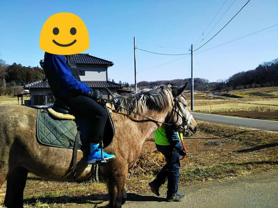 f:id:yujisyuji:20190331204107j:image f:id:yujisyuji:20190331204107j:image