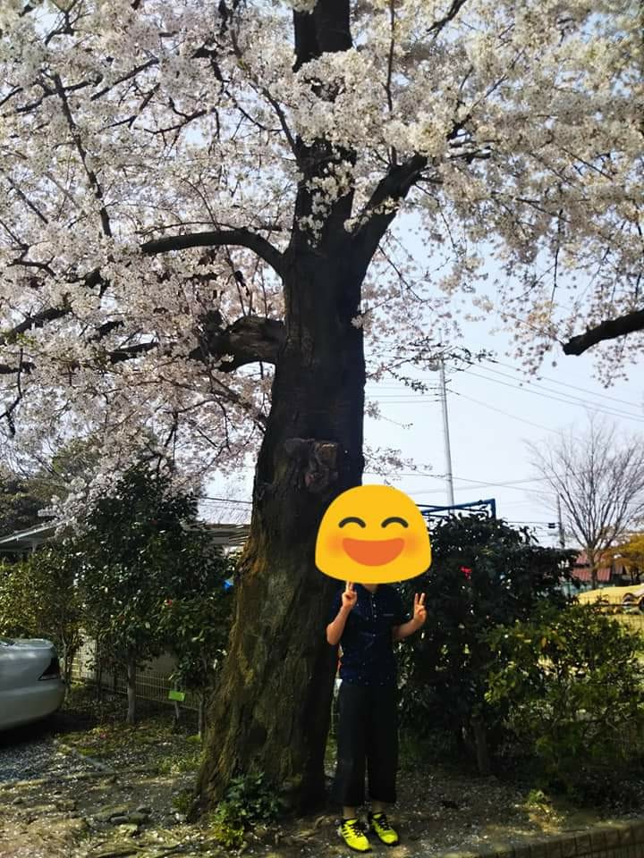 f:id:yujisyuji:20190407212640j:image