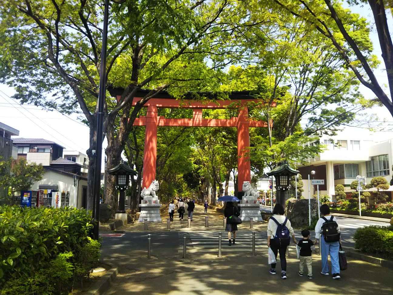f:id:yujisyuji:20190422195558j:image