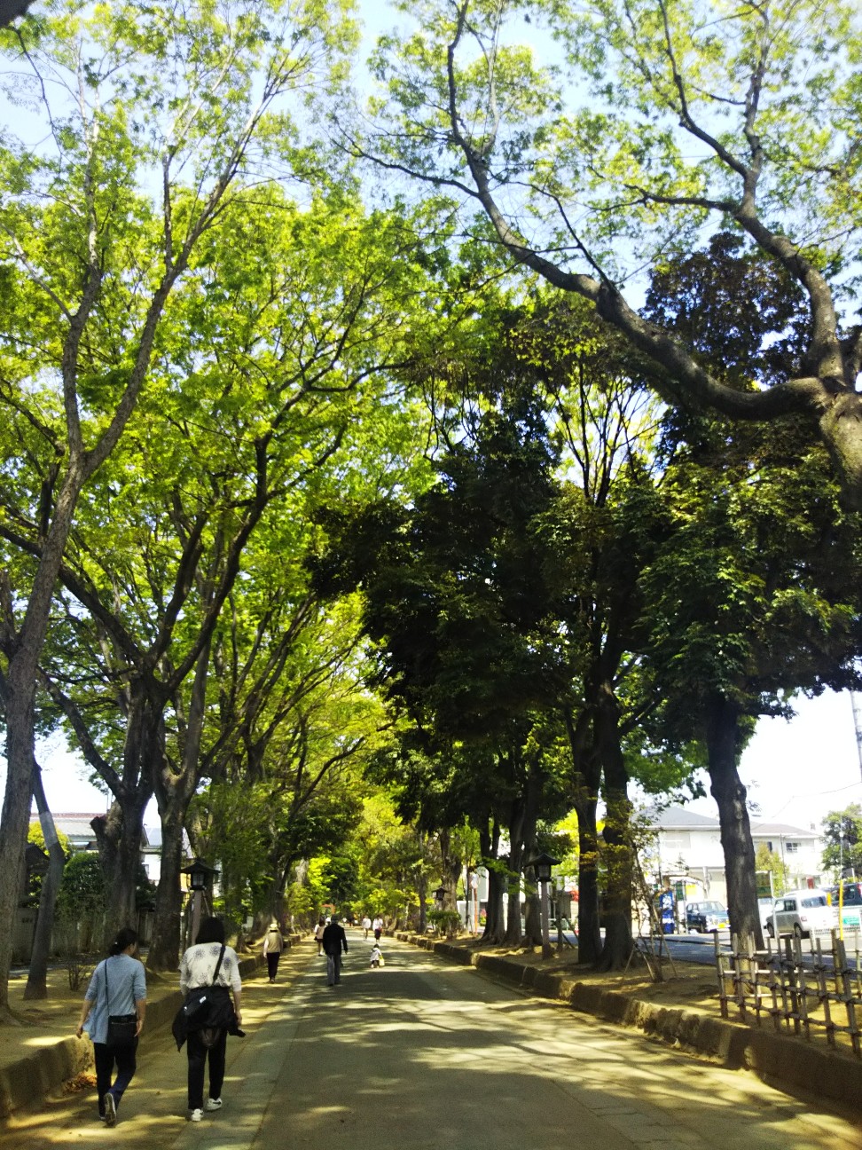 f:id:yujisyuji:20190422195624j:image
