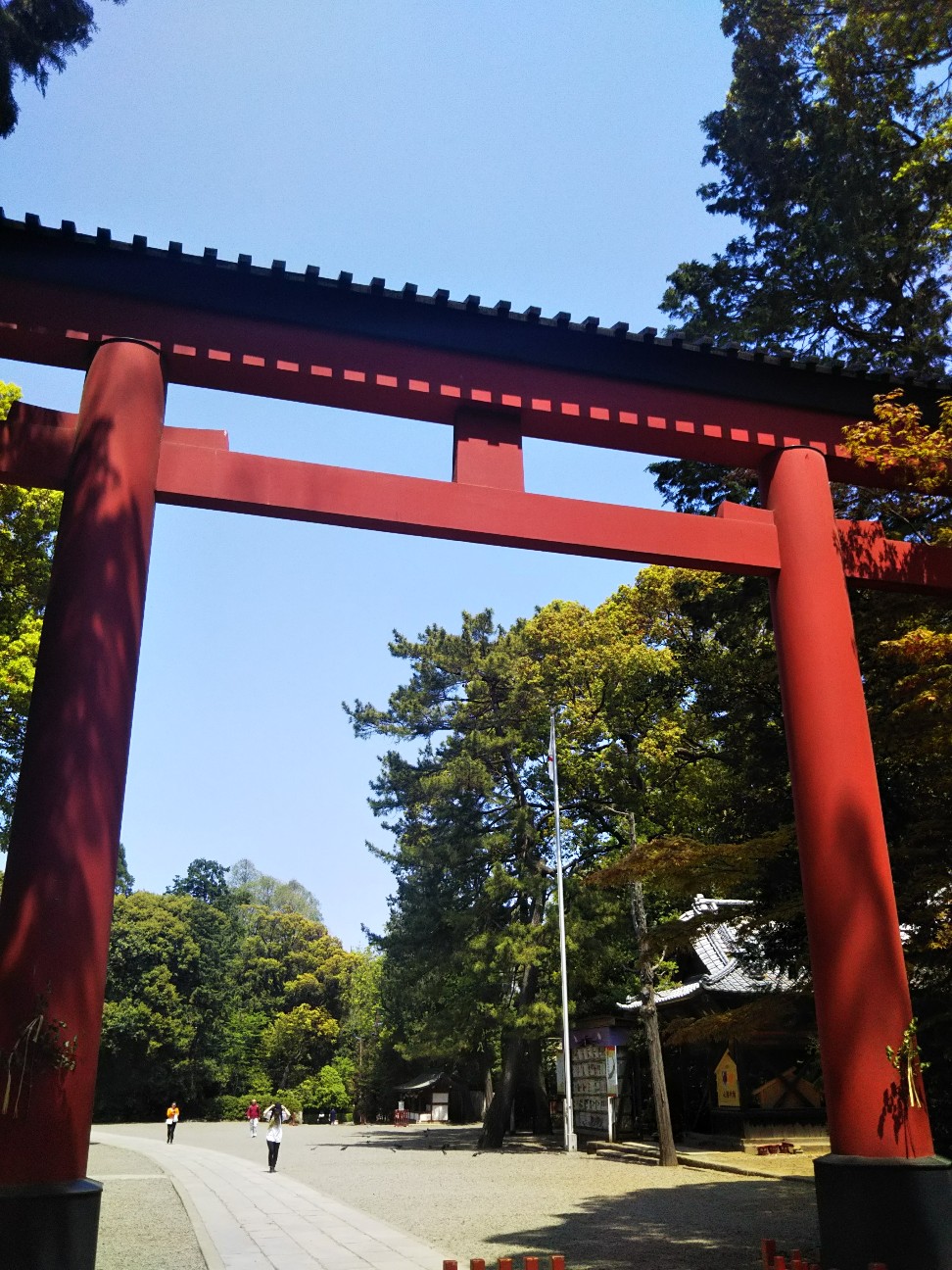 f:id:yujisyuji:20190422195653j:image