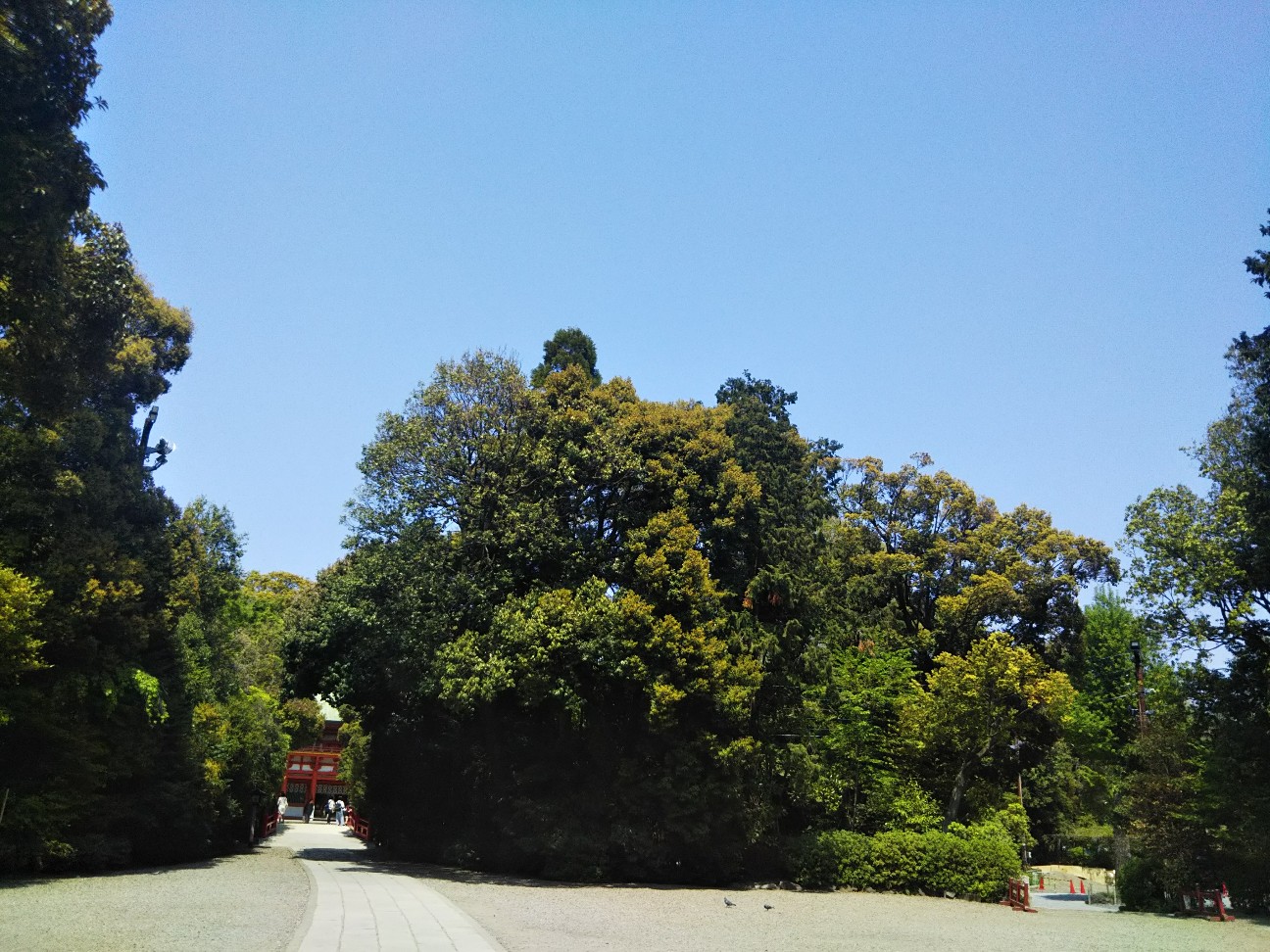 f:id:yujisyuji:20190422195722j:image