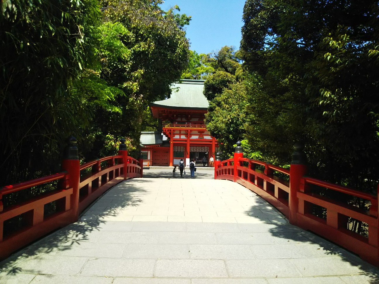 f:id:yujisyuji:20190422195815j:image
