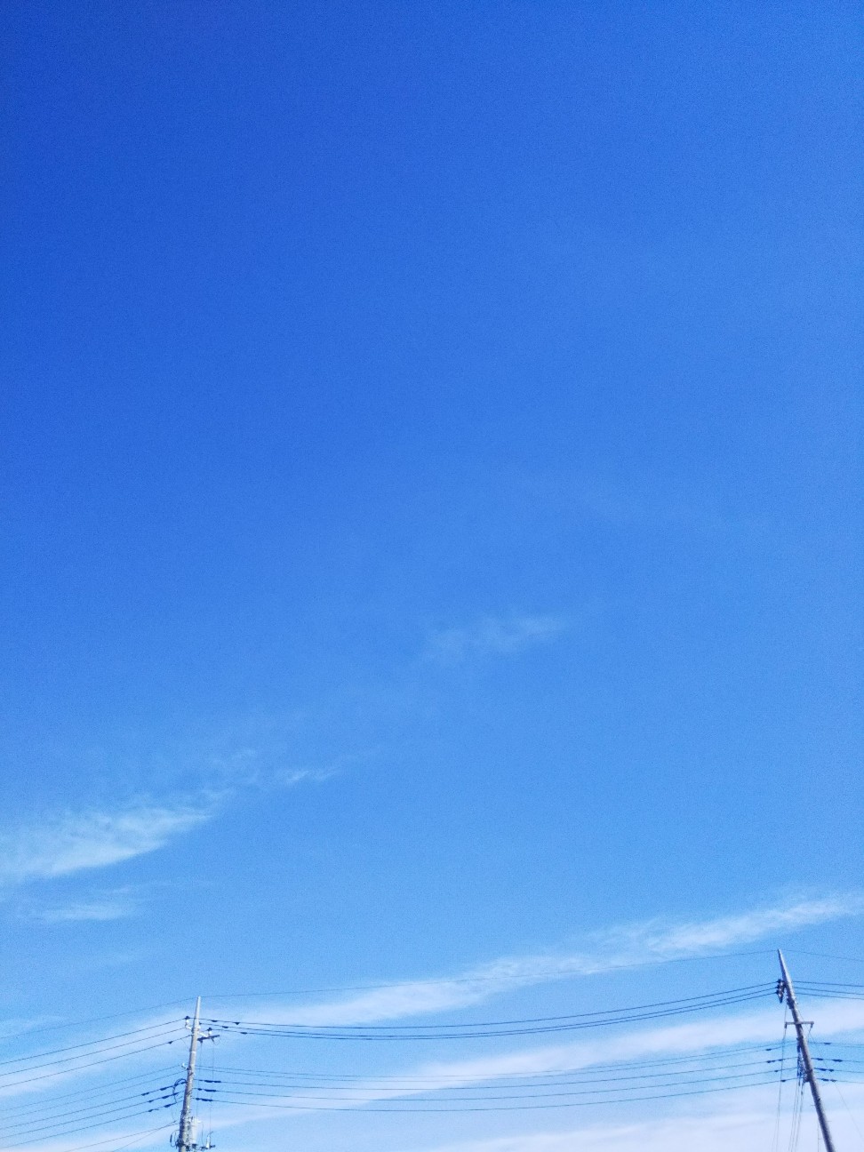 f:id:yujisyuji:20190428200756j:image