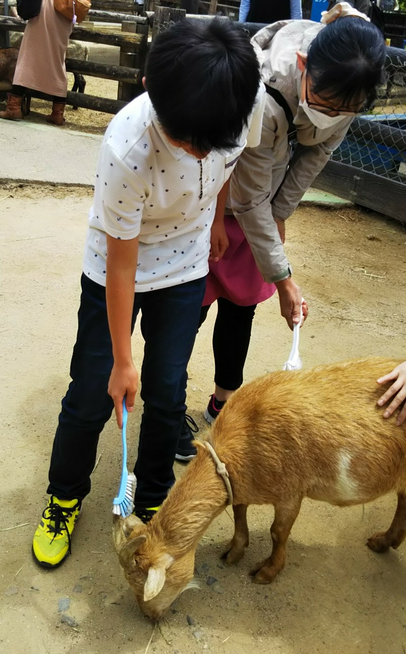 f:id:yujisyuji:20190430202341j:image f:id:yujisyuji:20190430202341j:image