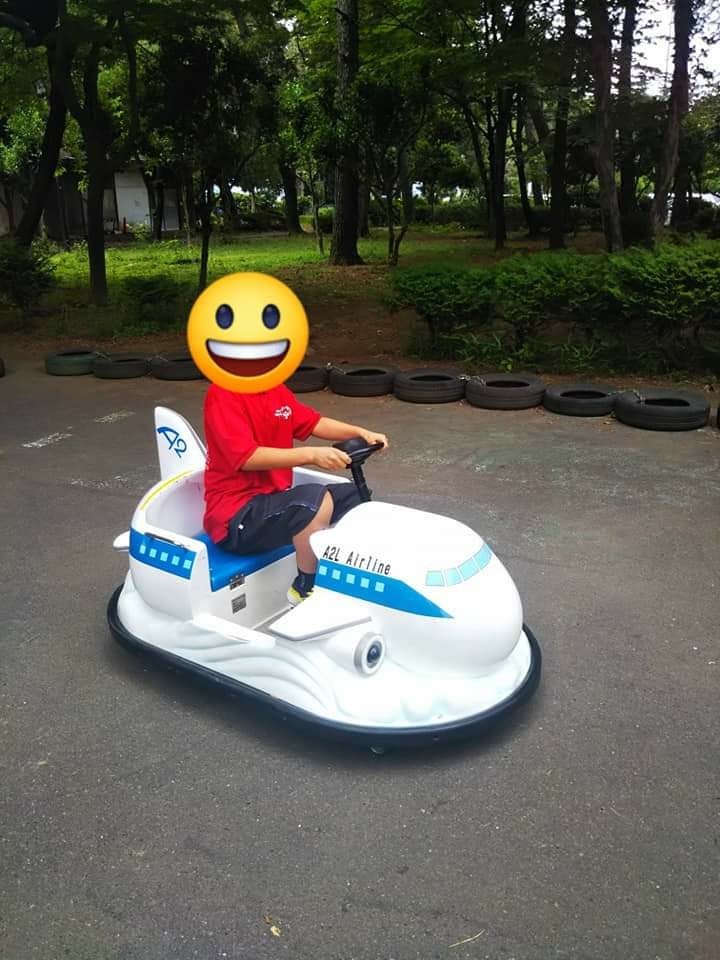 f:id:yujisyuji:20190602202220j:image f:id:yujisyuji:20190602202220j:image